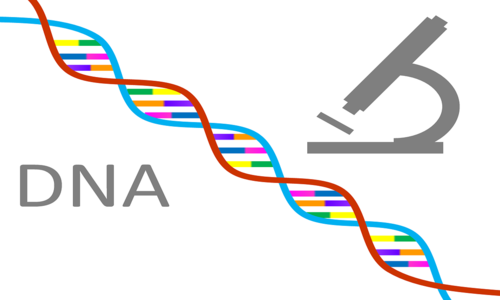Κακόβουλος κώδικας γραμμένος σε μορφή DNA μολύνει υπολογιστές