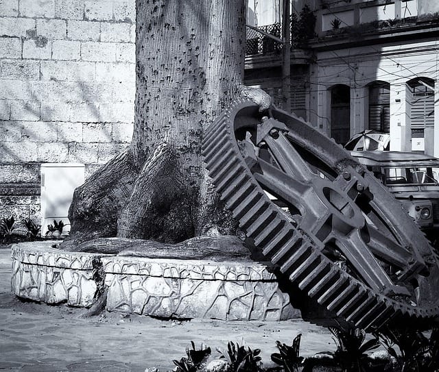 Η παρομοίωση του σύγχρονου δέντρου στην εξέλιξη