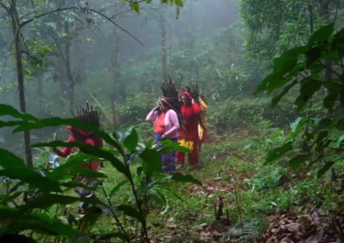 Βιοπειρατεία: Επιτεύχθηκε συμφωνία στα Ηνωμένα Έθνη και δημιουργήθηκε η πρώτη συνθήκη