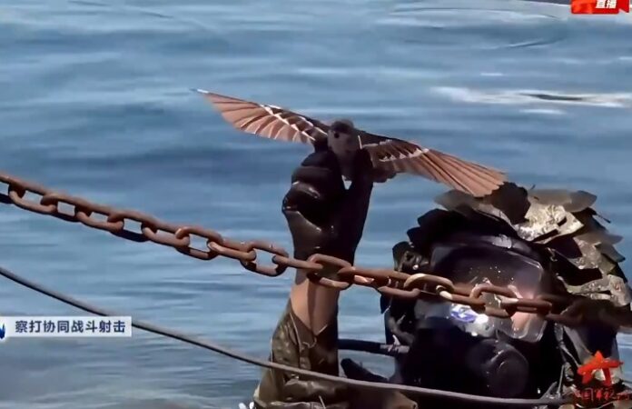 Οι ειδικές δυνάμεις της Κίνας χρησιμοποιούν drones που μοιάζουν με πουλιά